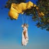 Spotify Album Art